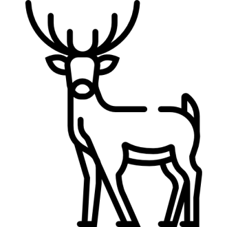 Wildsvleis